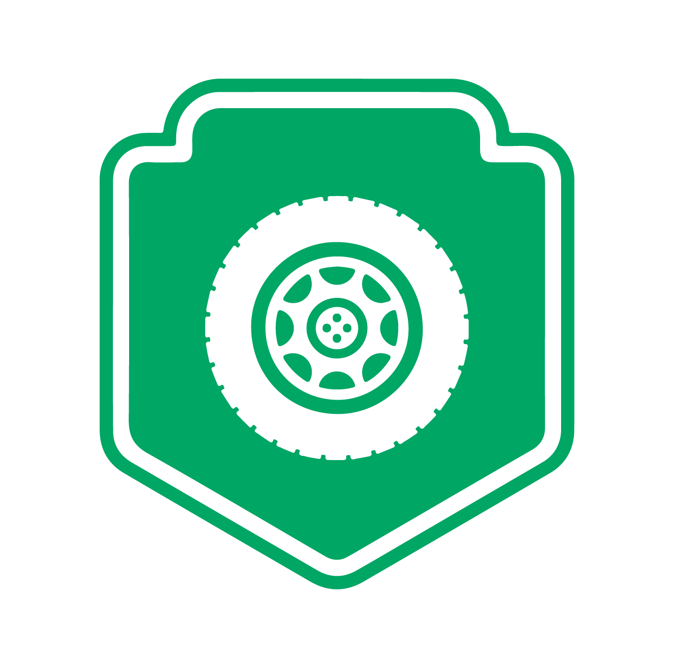 Visual Inspection of Every Vehicle